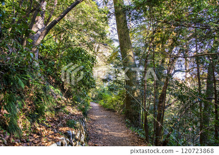 Mount Takao Biwataki Course (Route 6) Hiking trail From the stepping stone path to the final steps to the summit Late November 120723868