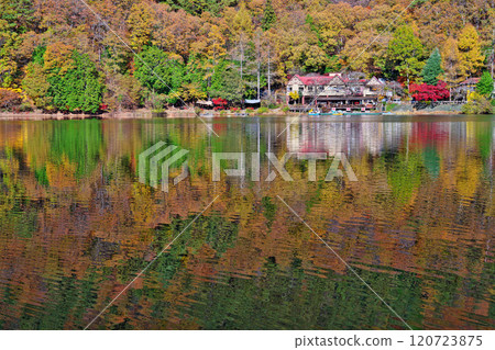 Autumn at Lake Shibire 120723875