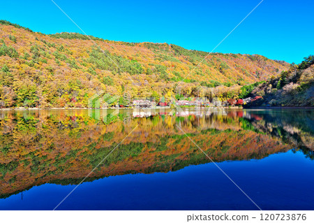 Autumn at Lake Shibire 120723876
