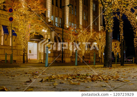 Photographed in the former settlement of Motomachi, Kobe in December, when the city of Kobe sparkles with illuminations. 120723929