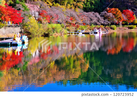 舍比爾湖的秋天 舍比爾湖的秋天 120723952