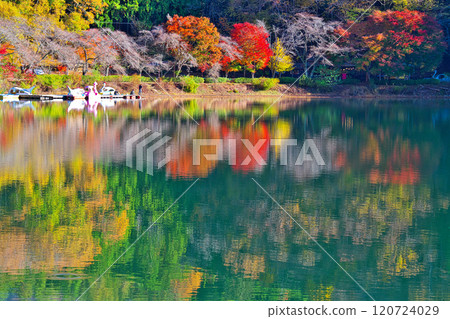 舍比爾湖的秋天 舍比爾湖的秋天 120724029