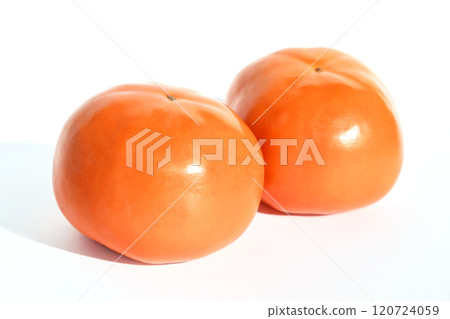 柿子（四豐柿子） 120724059