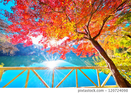 Autumn at Lake Shibire 120724098