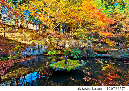 慶德院的秋天 慶德院的秋天 120724271