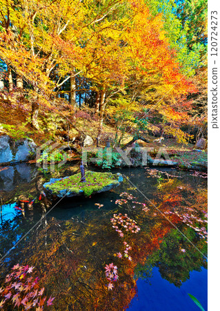 Autumn at Keitoku-in Temple 120724273