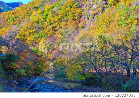 蘆川溪谷的秋天 120724353