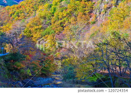 蘆川溪谷的秋天 120724354