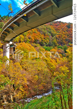 Autumn in Ashigawa Valley 120724415