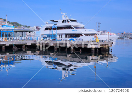 函館青月 120724908