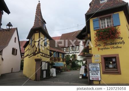 Streets of Eguisheim, France 120725058