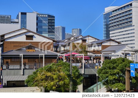Tokyo Central Wholesale Market Toyosu Market 120725423