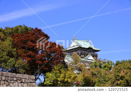 Clear autumn, Osaka Castle with autumn leaves, high and fat autumn sky, ginkgo trees, gingko trees, Naniwa is just a dream within a dream, willows and autumn leaves, castle under blue sky Clear autumn, Osaka Castle with autumn leaves, high and fat autumn sky, ginkgo trees, gingko trees, Naniwa is just a dream within a dream, willows and autumn leaves, castle under blue sky 120725525