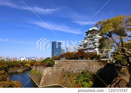 Clear autumn, Osaka Castle with autumn leaves, high and fat autumn sky, ginkgo trees, gingko trees, Naniwa is just a dream within a dream, willows and autumn leaves, castle under blue sky Clear autumn, Osaka Castle with autumn leaves, high and fat autumn sky, ginkgo trees, gingko trees, Naniwa is just a dream within a dream, willows and autumn leaves, castle under blue sky 120725587