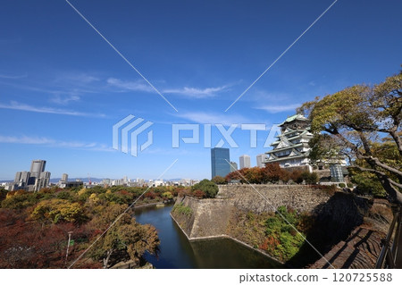 Clear autumn, Osaka Castle with autumn leaves, high and fat autumn sky, ginkgo trees, gingko trees, Naniwa is just a dream within a dream, willows and autumn leaves, castle under blue sky Clear autumn, Osaka Castle with autumn leaves, high and fat autumn sky, ginkgo trees, gingko trees, Naniwa is just a dream within a dream, willows and autumn leaves, castle under blue sky 120725588