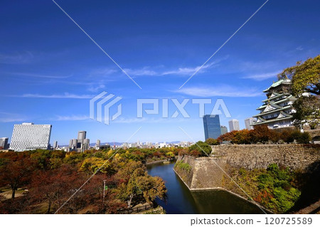 Clear autumn, Osaka Castle with autumn leaves, high and fat autumn sky, ginkgo trees, gingko trees, Naniwa is just a dream within a dream, willows and autumn leaves, castle under blue sky Clear autumn, Osaka Castle with autumn leaves, high and fat autumn sky, ginkgo trees, gingko trees, Naniwa is just a dream within a dream, willows and autumn leaves, castle under blue sky 120725589