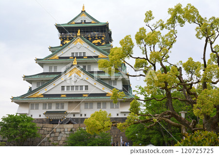 日本的100座大城堡/大阪城 日本的100座大城堡/大阪城 120725725