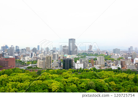 Japan's 100 Great Castles / Osaka Castle 120725754