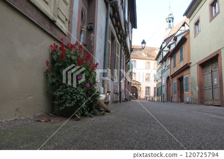 Colmar, France: Streets and cats 120725794
