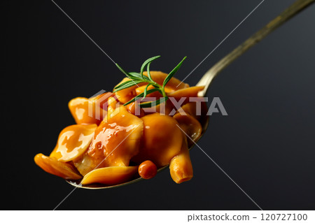 Homemade pickled honey mushrooms in spoon. 120727100