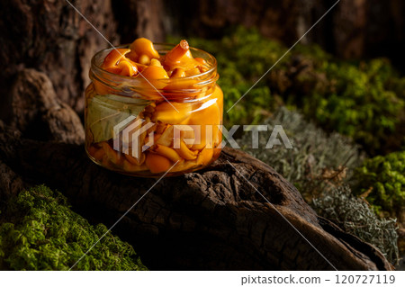 Homemade pickled honey mushrooms in a glass jar. 120727119