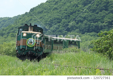 Kushiro Marsh Norokko Train Running Through the Marshes 35th Anniversary Mark Enjoy Nature Kushiro Marsh Norokko Train Running Through the Marshes 35th Anniversary Mark Enjoy Nature 120727361