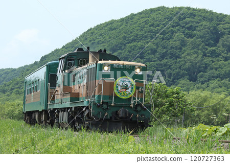 Kushiro Marsh Norokko Train Running Through the Marshes 35th Anniversary Mark Enjoy Nature Kushiro Marsh Norokko Train Running Through the Marshes 35th Anniversary Mark Enjoy Nature 120727363