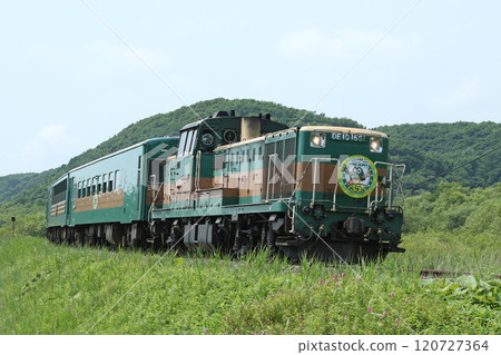 釧路濕地Norokko穿越濕地35週年紀念享受大自然 釧路濕地Norokko穿越濕地35週年紀念享受大自然 120727364