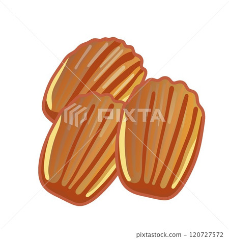 烘焙糖果瑪德琳的插圖 烘焙糖果瑪德琳的插圖 120727572