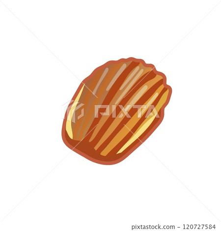 烘焙糖果瑪德琳的插圖 烘焙糖果瑪德琳的插圖 120727584