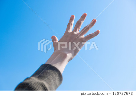 手伸向天空（照片素材） 120727678