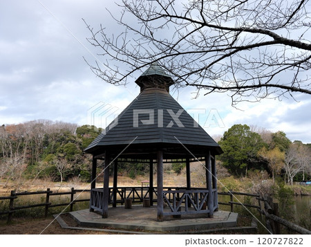 坂田池綜合公園風景 坂田池綜合公園風景 120727822