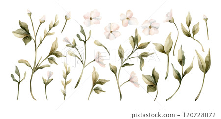 White small flowers with leaves. Jasmine, orange, apple blossom. Set of watercolor hand painted floral isolated illustrations for wedding design, home textile, porcelain crockery, cosmetic package 120728072