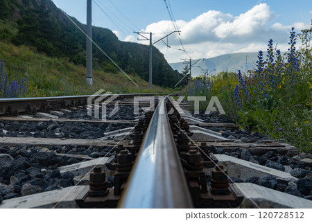 Railway tracks weaving through vibrant wildflowers in the heart of Armenia on a sunny day Railway tracks weaving through vibrant wildflowers in the heart of Armenia on a sunny day 120728512