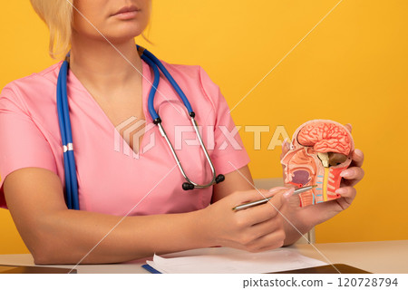 Hand with magnifying glass over cervical vertebrae of human head model. Neck pain, stiffness concept with red point. Arthritis, pinched nerve, strain. High quality photo 120728794