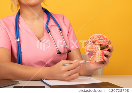 Doctor pointing Trachea of Respiratory system anatomy for Diseases. Lung Cancer, Asthma, Chronic Obstructive Pulmonary or COPD, Bronchitis, Emphysema, Cystic Fibrosis, Bronchiectasis and Pneumonia 120728798