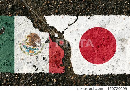 On the pavement are images of the flags of Mexico and Japan, as a symbol of confrontation. 120729099