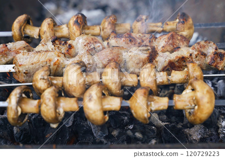 Beautiful delicious mushrooms and grilled meat. Vacation food Beautiful delicious mushrooms and grilled meat. Vacation food 120729223