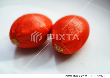 Cycad seeds Cycad seeds 120729710