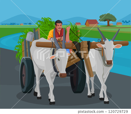 farmer riding a bullock cart Indian village farmer riding a bullock cart Indian village 120729729