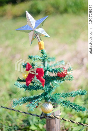 季節十字路口－向日葵田裡的小聖誕節 120729983