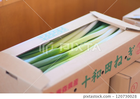 超甜-紙板包裝的十和田大蔥 120730028