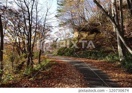 Forest road of late autumn Forest road of late autumn 120730674