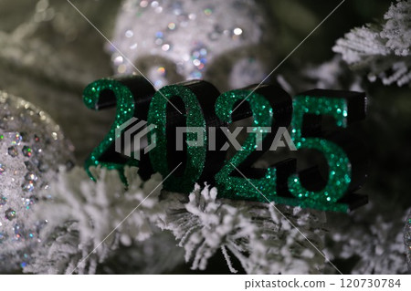 Prepare for the 2025 Festive Celebration Ornamental Decoration for the joyful holiday season Prepare for the 2025 Festive Celebration Ornamental Decoration for the joyful holiday season 120730784