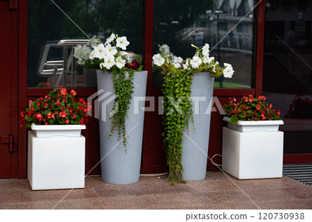 Colorful flower pots on outdoor steps enhancing patio decor. Colorful flower pots on outdoor steps enhancing patio decor. 120730938