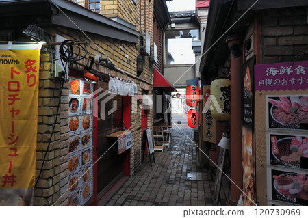 Otaru Denuki-koji (A food stall village modeled after the streets of Otaru during the Meiji and Taisho periods) 120730969