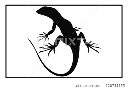 lizard silhouette set illustration, Black silhouette of a lizard isolated on a white background lizard silhouette set illustration, Black silhouette of a lizard isolated on a white background 120731155