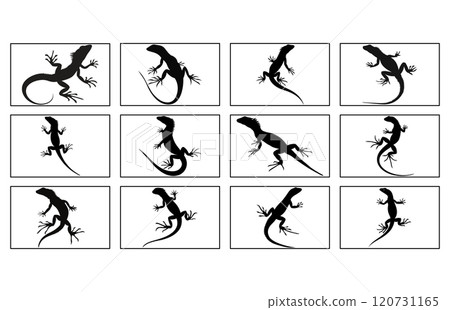 lizard silhouette set illustration, Black silhouette of a lizard isolated on a white background 120731165