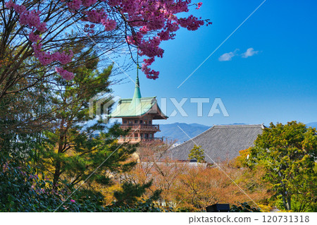 京都泉銅閣大雲院只園閣（京都府京都市東山區） 120731318