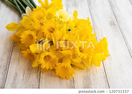 黃色水仙花花束 120731337